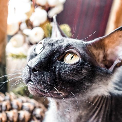 Photo #3543459
