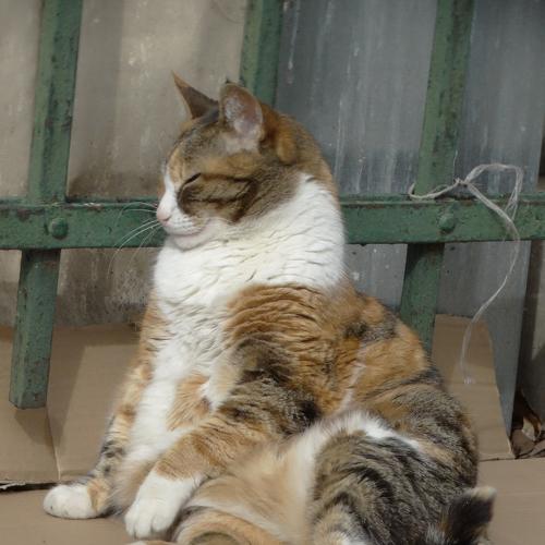 Photo #3543890