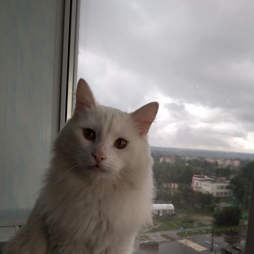 Photo #3544045