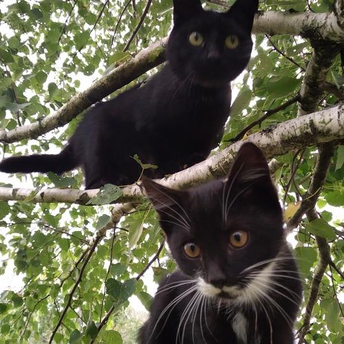 Photo #3544051