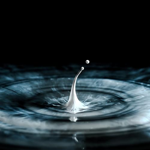 Photo #3544105