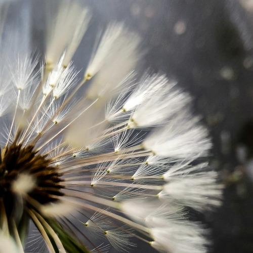 Photo #3544317