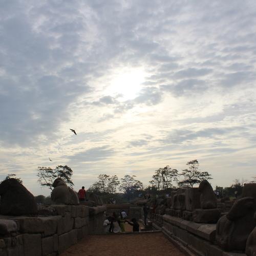 Photo #3544429