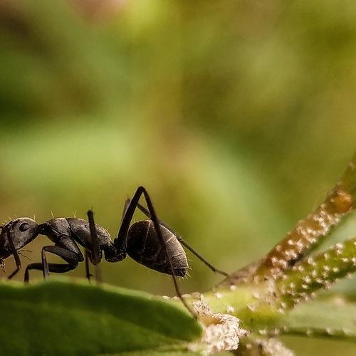 Photo #3544433