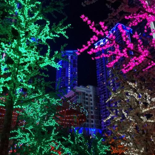 Photo #3544437