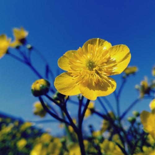 Photo #3544494