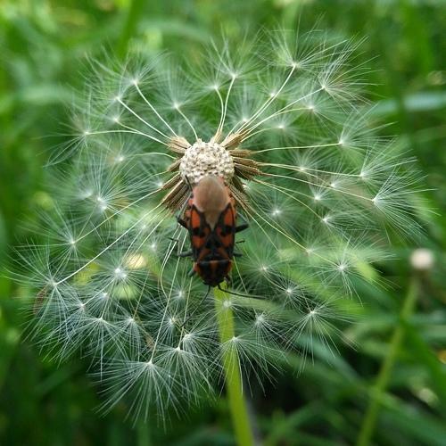 Photo #3544513
