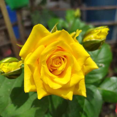 Photo #3544654