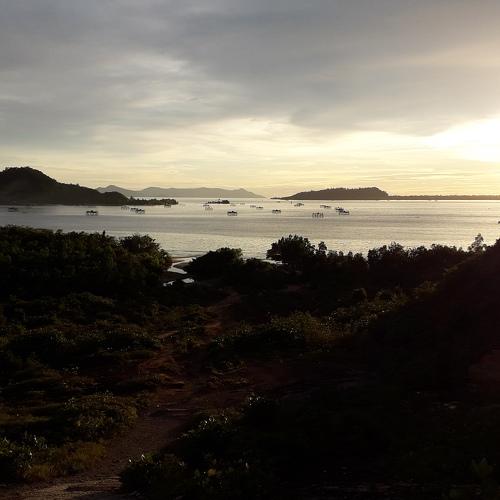 Photo #3544794