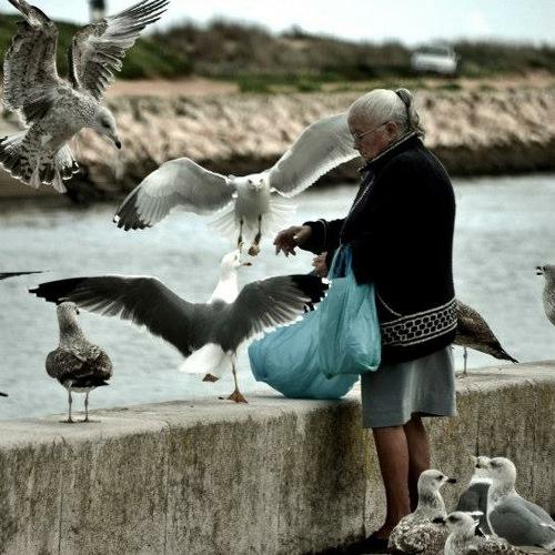 Photo #3544990