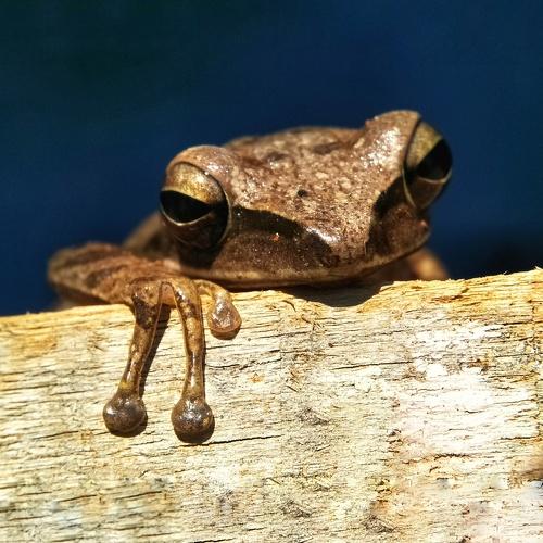 Photo #3545023