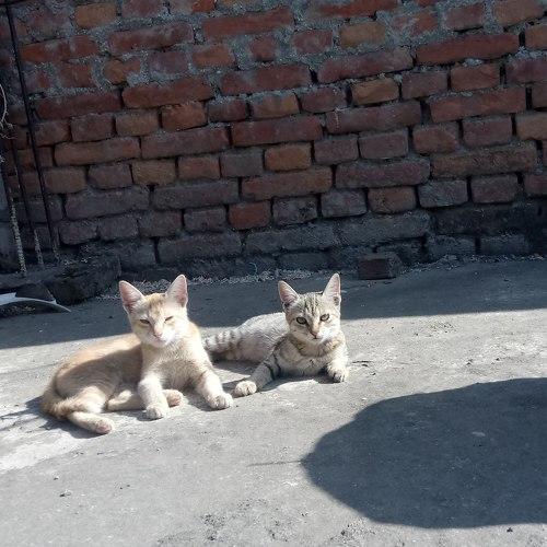 Photo #3545318
