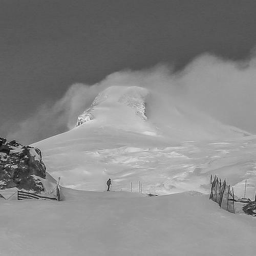 Photo #3545322