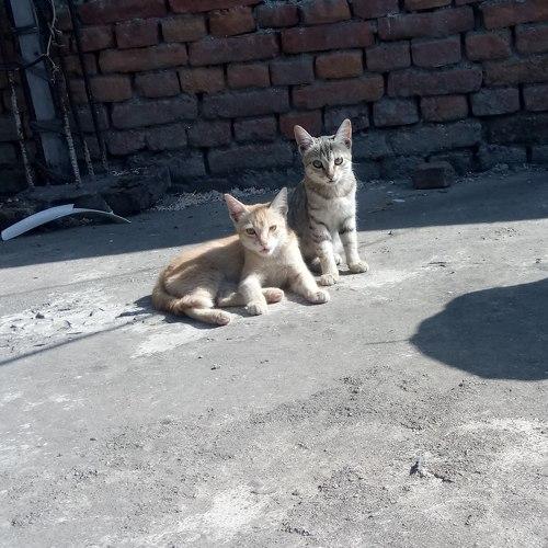 Photo #3545340