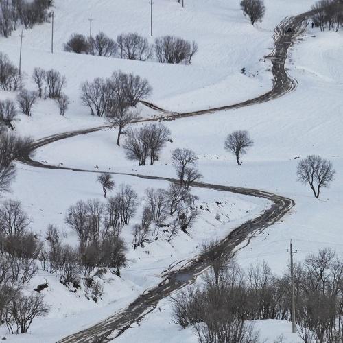 Photo #3545494