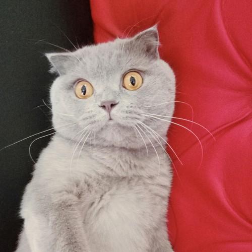 Photo #3545759
