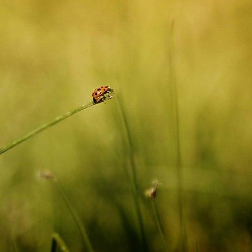 Photo #3545946