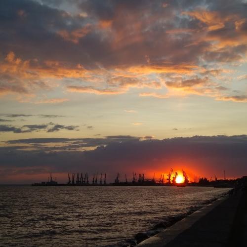 Photo #3545966