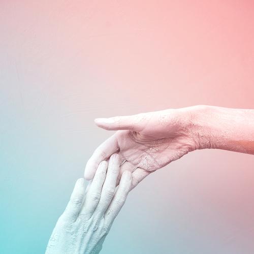 Photo #3546313