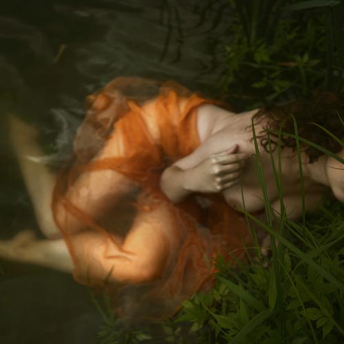 Photo #3546316
