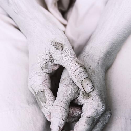 Photo #3546318
