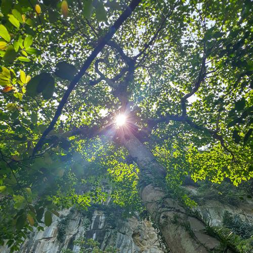 Nature blessing