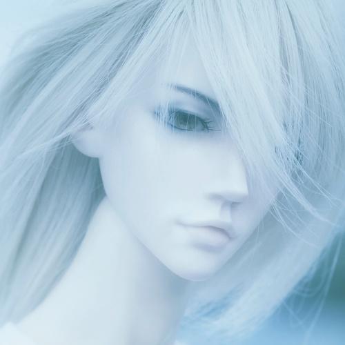 Photo #3546926