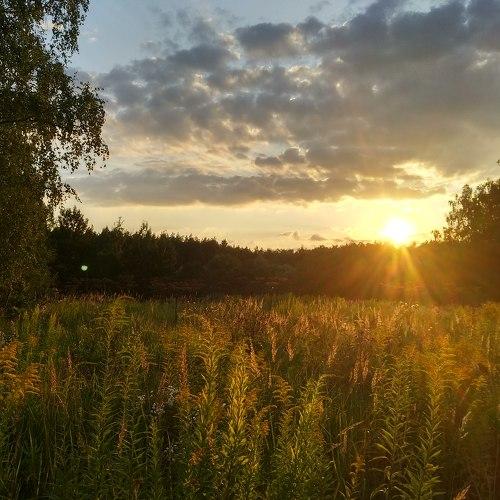 Photo #3547007