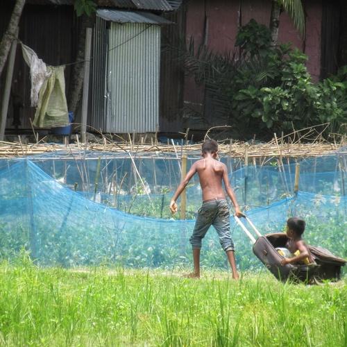 Photo #3547163