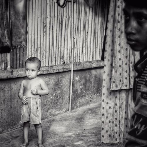 Photo #3547186
