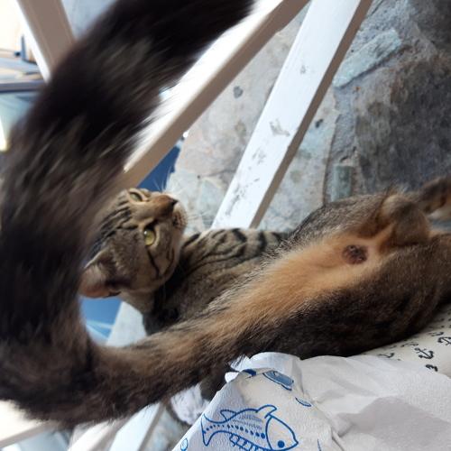 Photo #3547358
