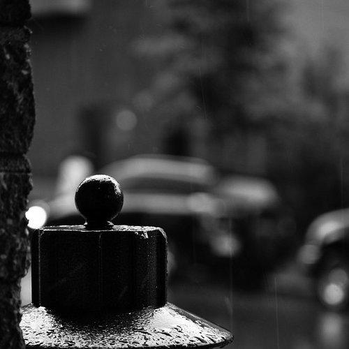 Photo #3547529
