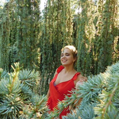 Photo #3547613
