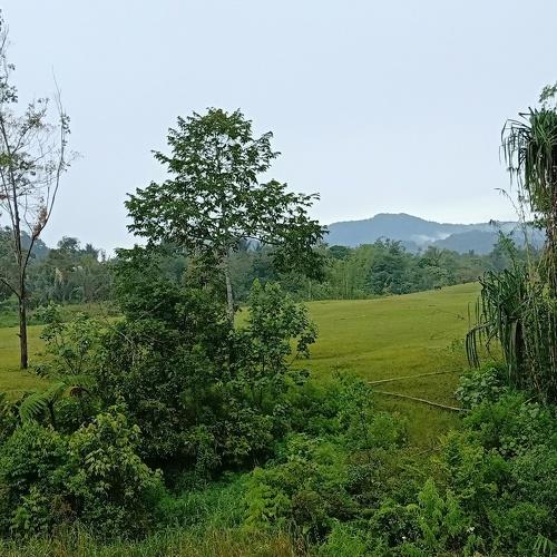 Photo #3547889