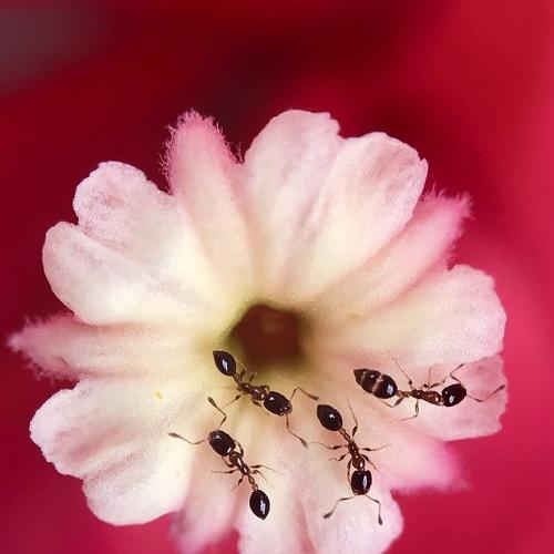 Photo #3547938