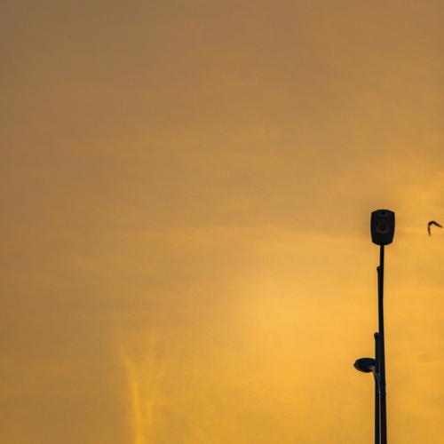 Alone