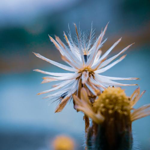 Photo #3548180