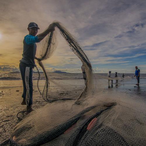 Photo #3549022