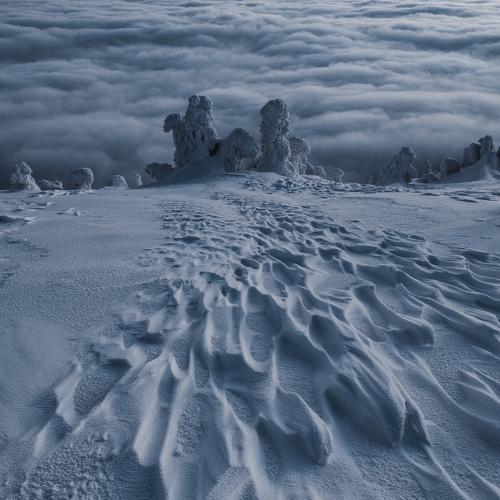 Photo #3549042