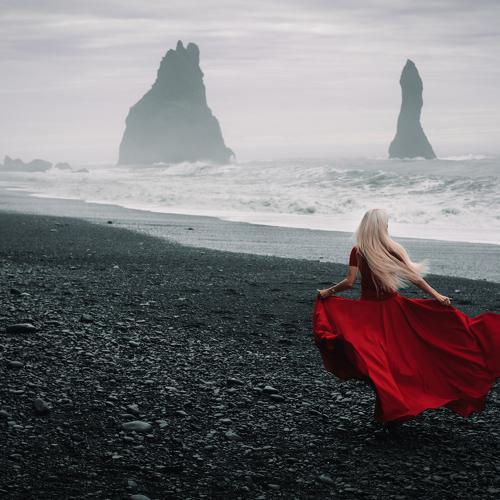 Photo #3549056