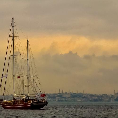 Photo #3549064