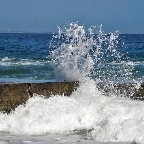 Photo #3549807