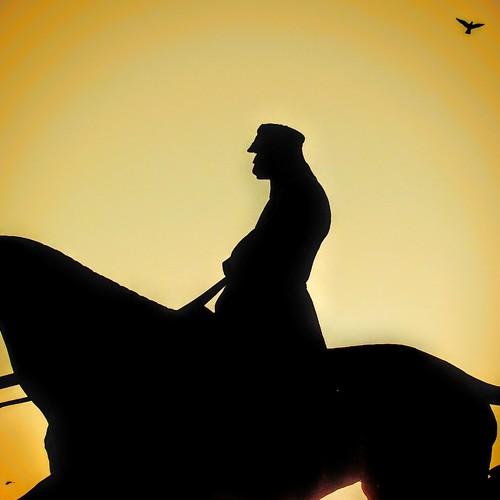 Photo #3550069
