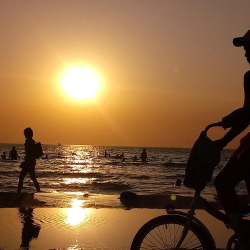 Photo #3550187