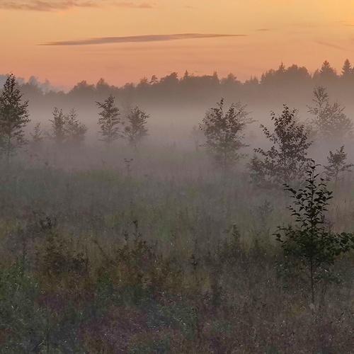 Photo #3550228