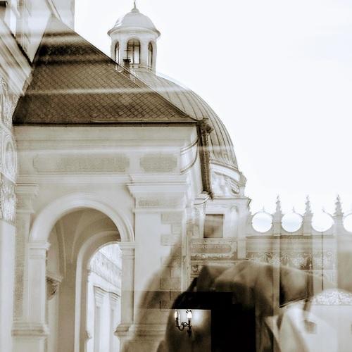 Photo #3550254