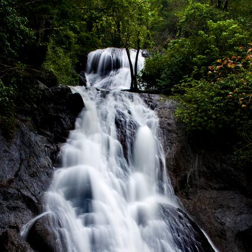 Photo #3550323