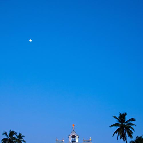 Photo #3550336