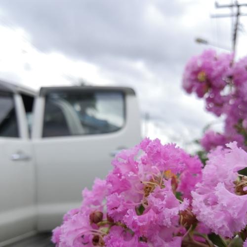 Natural flower