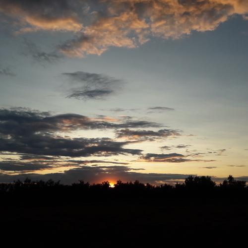 Photo #3550540